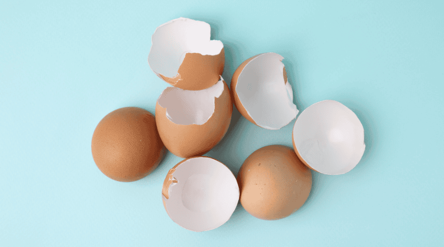 Eierschale Kollagen
